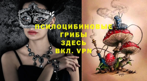 spice Алексин